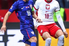 九游电脑版下载地址-莱万多夫斯基重要时刻表现优异，TES带队取胜！(莱万多夫斯基英文名)